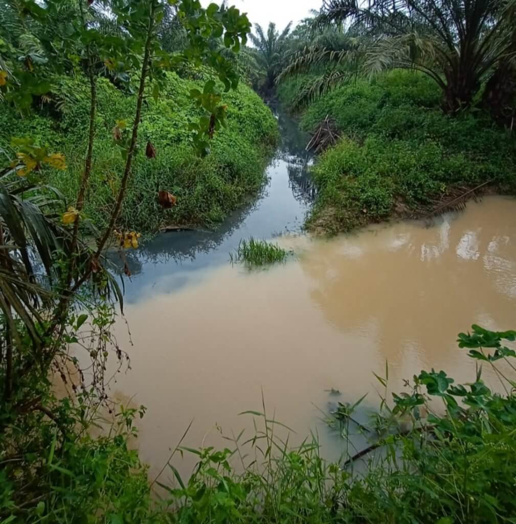 Diduga Sungai  Tercemar  Limbah PKSK Warga Langsung Merekam 