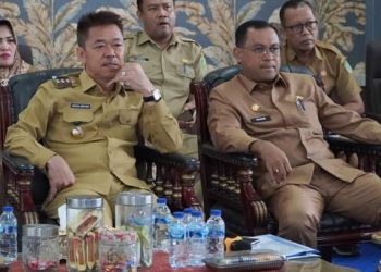 Bupati Rohil Ikuti Rakor Pengendalian Inflasi Daerah  2023 Bersama Kemendagri 