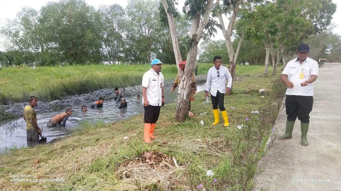 Kepala DLH Rohill Pantau Langsung Penataan Taman dan Parit Pinggir Sungai Rokan