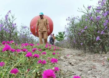Genjot PAD, Pemkab Rohil Bangun Objek Wisata Taman di Jembatan Pedamaran