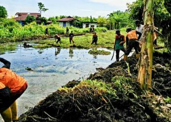 60 Petugas Dinas Lingkungan Hidup Rohil Bersihkan areal Water leading