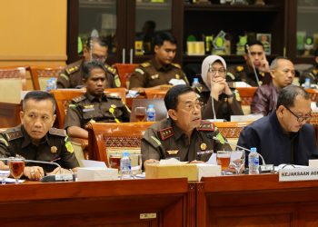 Wakil Jaksa Agung Sampaikan Visi Kejaksaan dalam Rapat Kerja dengan Komisi III DPR RI