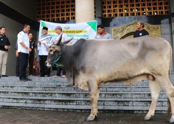 Kajati Maluku Menyerahkan Hewan Qurban di Masjid Raya Al- Fatah Ambon