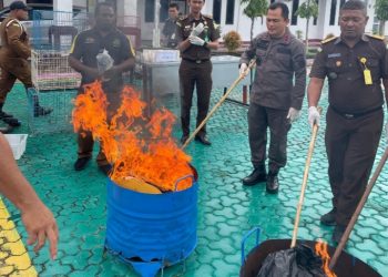 Barang Bukti  42 Perkara Tindak Pidana di Musnahkan oleh Kejari Kepulauan Aru