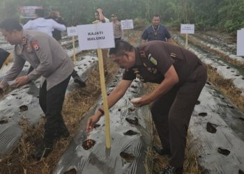Kajati Maluku Hadiri Pelaksanaan Penanaman Jagung Serentak di Dusun Gulung 