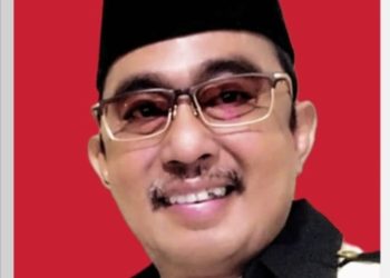 Ketua APDESI : Bimtek dan Study Tiru sudah sesuai Juknis dan Kebutuhan Desa