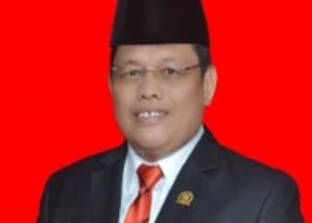 Lambat Jalankan Kegiatan, Anggota DPRD Kritik Pemkab Rohil