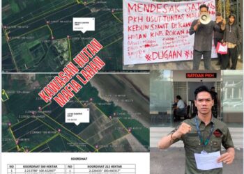 Satgas PKH Jalan Ditempat, 924 Hektar Kebun Sawit Milik Berlin di Sungai Daun Tidak Ditindak