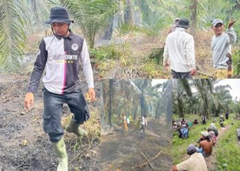 Penghulu Teluk Piyai : Kobaran Api Di Sungai Tunggak Berhasil di Padamkan