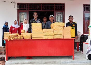 Meriahkan HUT RI ke 80, Kepenghuluan Sungai Nyamuk Adakan Lomba Bola Dangdut