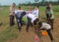 Bersama Polres Rohil, Pj. Penghulu Darussalam Ikuti Giat Penanaman Pohon