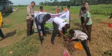 Bersama Polres Rohil, Pj. Penghulu Darussalam Ikuti Giat Penanaman Pohon