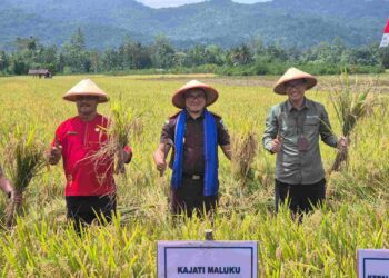 Dukung Ketapang, Kajati Maluku Hadiri Panen Raya Padi Sawah Di Desa Waimital