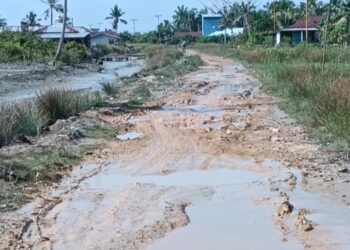 Keluhkan Jalan Rusak, Masyarakat Sungai Bakau Harapkan Perhatian DPRD Dapil 1 