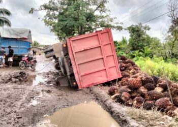 Truk bermuatan sawit terbalik, Jalan Lintas Sinaboi Bagansiapiapi Wajib perbaikan (Iwandi)