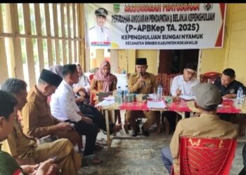 Bahas P- APBKEP 2025 , Kepenghuluan Sungai Nyamuk Gelar Musrembangkep