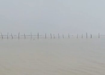 Ketua HNSI Minta Perikanan Rohil Hentikan rekomendasi Minyak Subsidi Bubu Tiang