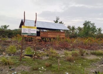 Program Ketapang, Bumdes Pulau Harapan Buat Usaha Ternak Kambing 