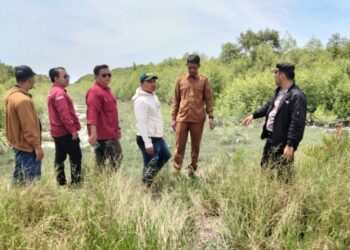 persiapan program restorasi lingkungan bertajuk "Mangrove Fest" Kecamatan Sinaboi (f: Iwandi)