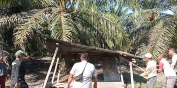 Pj Penghulu Darussalam & Masyarakat Tertibkan Lokasi di Duga Transaksi Narkoba