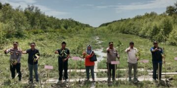 Polres Rohil Bersama Forkopimcam Gelar Preparasi Mangrove Fest di Sinaboi