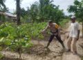 Polsek Sinaboi Cek Lahan Ketahanan Pangan Binaan
