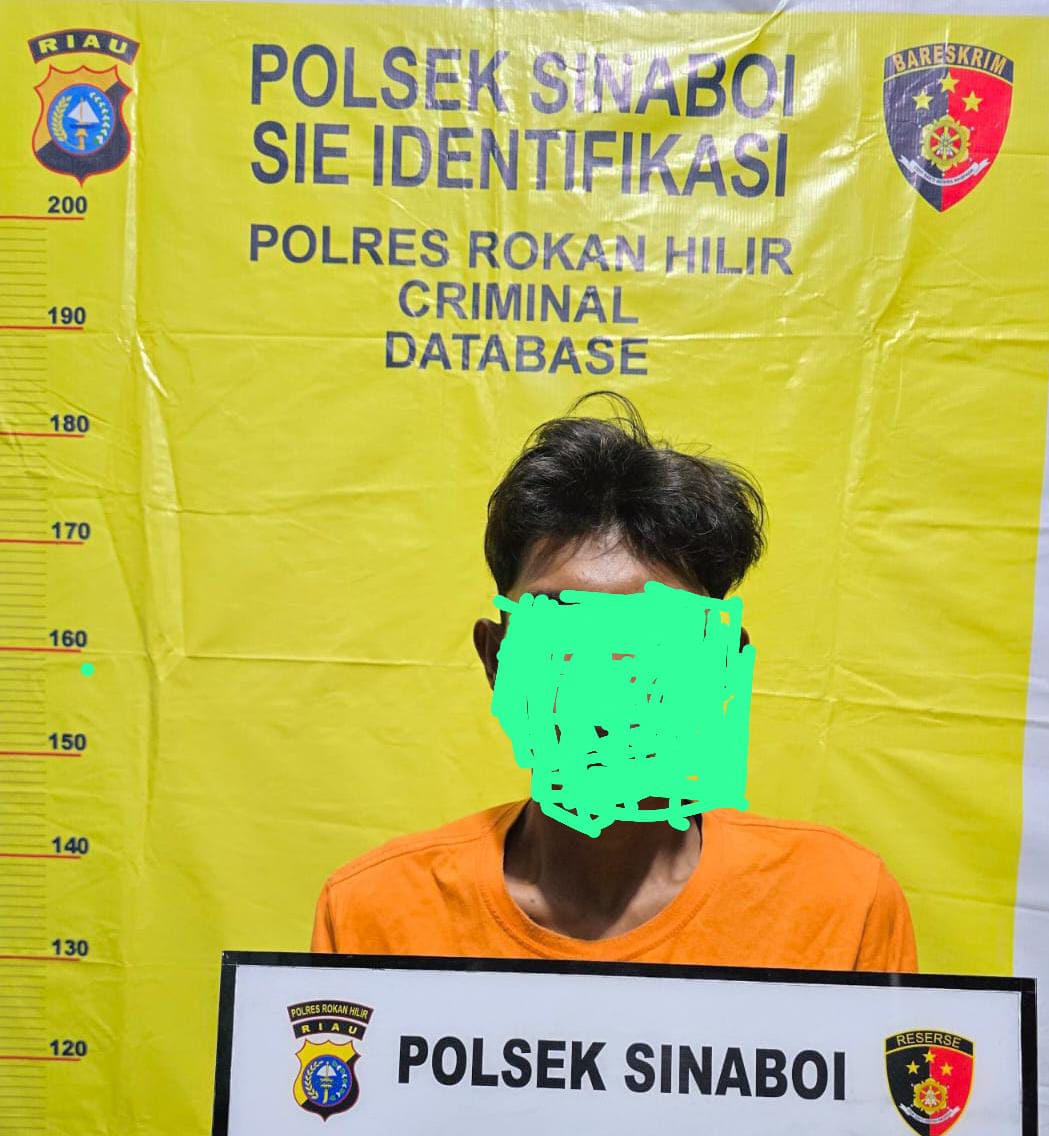 Tuduh Korban Jadi Informan,  Residivis Penganiayaan di Rohil Dibekuk Polisi