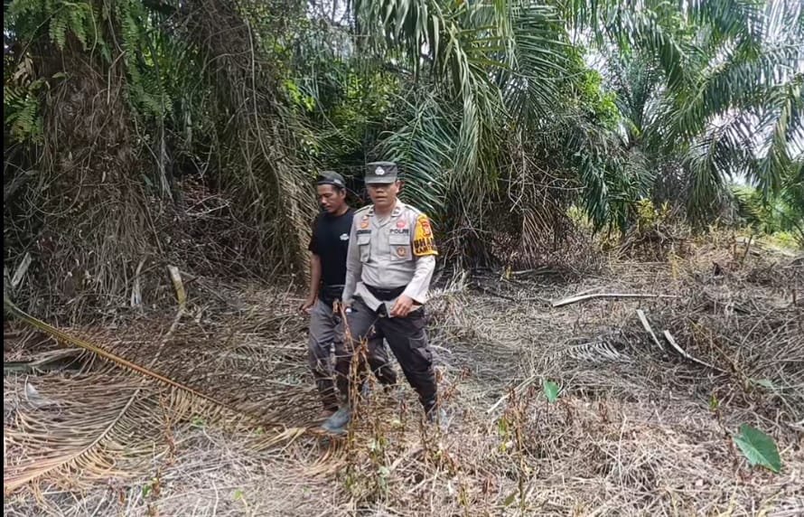Polsek Sinaboi Rutin patroli di daerah Rawan untuk mencegah Karhutla