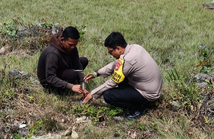 Polsek Sinaboi Sosialisasikan ‘Green Policing’ dan Tanam Pohon Trembesi