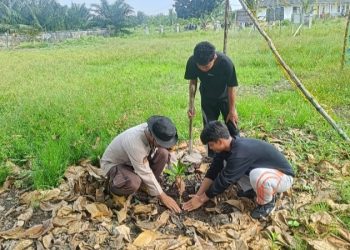 Polsek Sinaboi Sosialisasikan Green Policing & Tanam Pohon di Darussalam