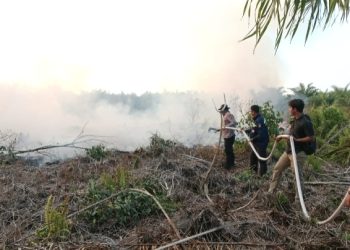 Karhutla di Raja Bejamu Berhasil Dipadamkan Polsek Sinaboi
