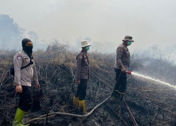Tim Gabungan Polsek Sinaboi Berjibaku Padamkan Karhutla di Raja Bejamu