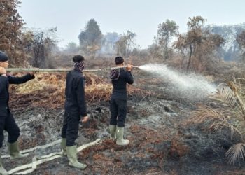 Tim Gabung TNI- Polri Berjibaku Padamkan Karhutla 5 Hektare di Sinaboi