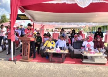 Kecamatan Sinaboi Semarakkan HUT RI ke-81 dengan Karnaval
