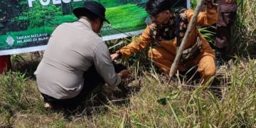 Polsek Sinaboi Galakkan Program Kapolda Riau melalui Tanam Pohon Bakau