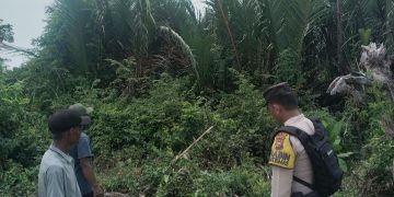 Sekaligus Lakukan Imbauan, Polsek Sinaboi Sisir Wilayah Rawan Karhutla
