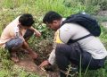 Polsek Sinaboi dan Warga Hijaukan Sungai Bakau