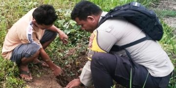 Polsek Sinaboi dan Warga Hijaukan Sungai Bakau