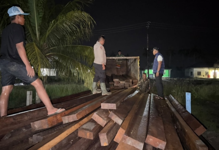 Dua Pelaku Pembalakan Liar Ditangkap di Sinaboi, Ratusan Kayu Diamankan